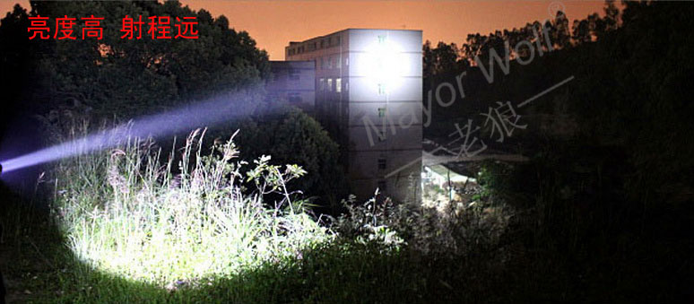 LYs001外用场景 LYs001外用场景