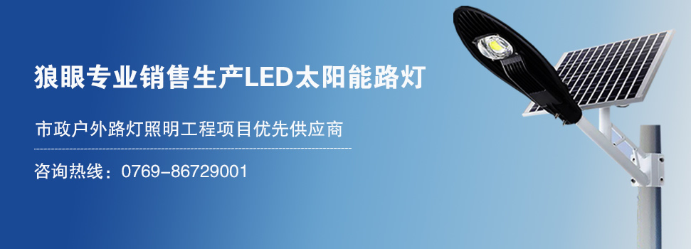 选择老狼的4大理由
