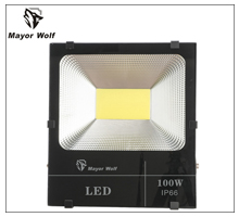 LY-TGD001  Mayor Wolf 市电投光灯 路灯生产厂家